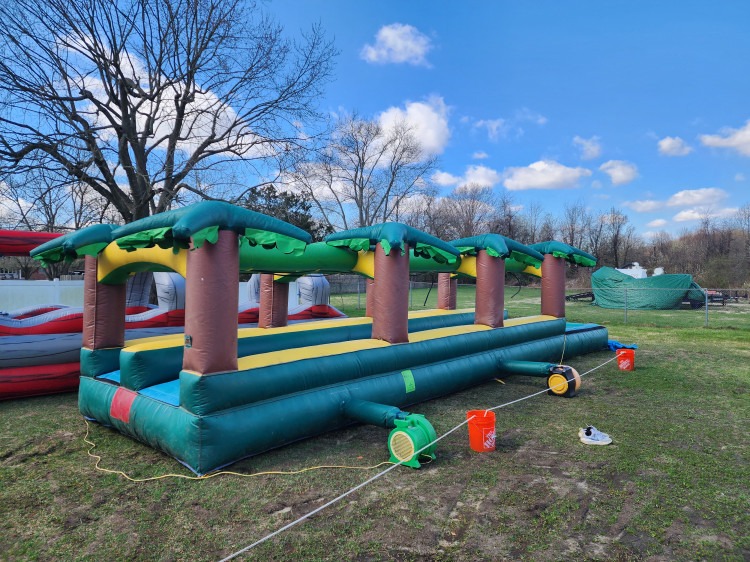 Palm Tree Slip n Slide